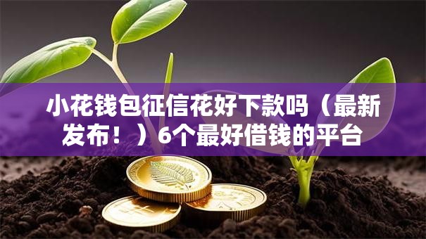 小花钱包征信花好下款吗（最新发布！）6个最好借钱的平台