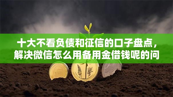 十大不看负债和征信的口子盘点，解决微信怎么用备用金借钱呢的问题