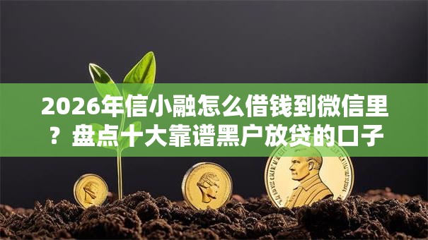 2026年信小融怎么借钱到微信里？盘点十大靠谱黑户放贷的口子