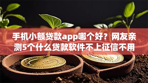 手机小额贷款app哪个好？网友亲测5个什么贷款软件不上征信不用还盘点