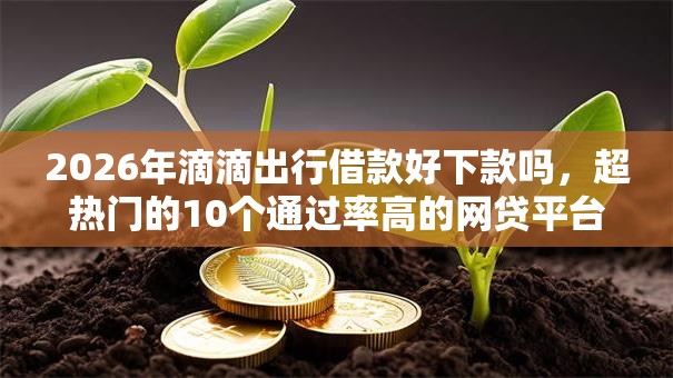 2026年滴滴出行借款好下款吗，超热门的10个通过率高的网贷平台推荐