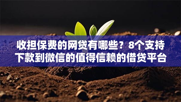 收担保费的网贷有哪些?8个支持下款到微信的值得信赖的借贷平台 收担保费的网贷有哪些?8个支持下款到微信的值得信赖的借贷平台