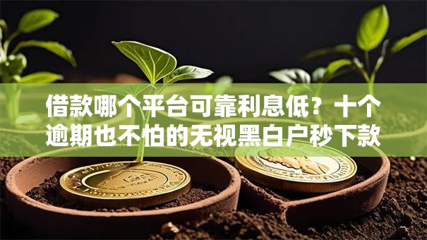 借款哪个平台可靠利息低?十个逾期也不怕的无视黑白户秒下款口子软件 借款哪个平台可靠利息低?十个逾期也不怕的无视黑白户秒下款口子软件