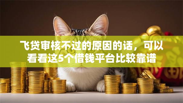 飞贷审核不过的原因的话，可以看看这5个借钱平台比较靠谱