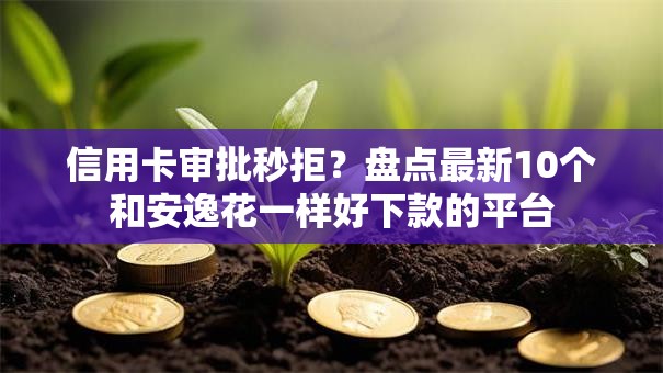 信用卡审批秒拒？盘点最新10个和安逸花一样好下款的平台