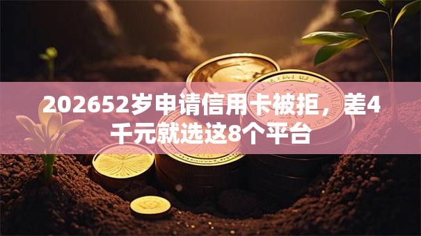202652岁申请信用卡被拒，差4千元就选这8个平台