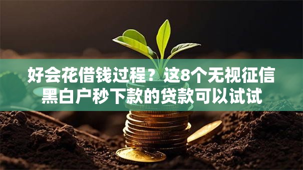 好会花借钱过程？这8个无视征信黑白户秒下款的贷款可以试试