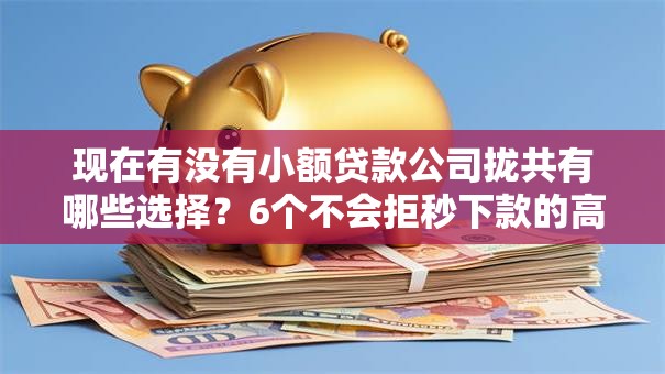 现在有没有小额贷款公司拢共有哪些选择？6个不会拒秒下款的高炮口子详解