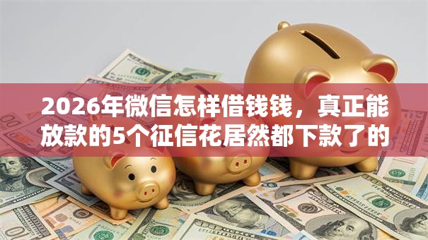 2026年微信怎样借钱钱，真正能放款的5个征信花居然都下款了的软件推荐