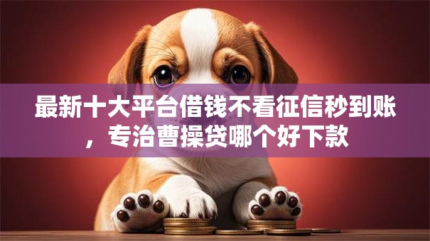 最新十大平台借钱不看征信秒到账，专治曹操贷哪个好下款