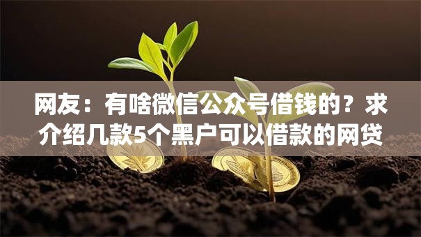 网友:有啥微信公众号借钱的?求介绍几款5个黑户可以借款的网贷app 网友:有啥微信公众号借钱的?求介绍几款5个黑户可以借款的网贷app
