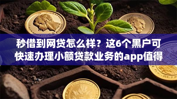 秒借到网贷怎么样？这6个黑户可快速办理小额贷款业务的app值得一试