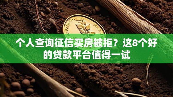个人查询征信买房被拒？这8个好的贷款平台值得一试
