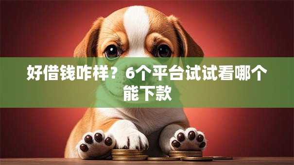 好借钱咋样？6个平台试试看哪个能下款