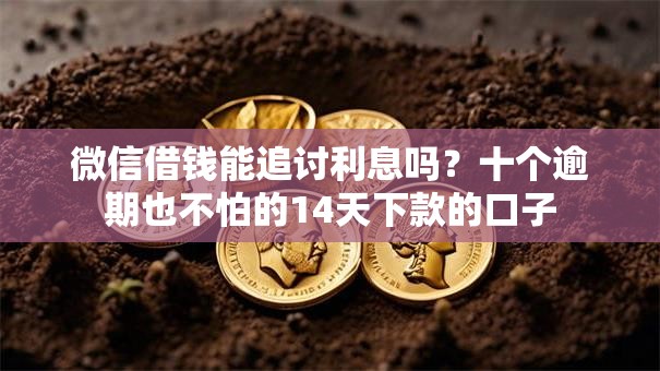 微信借钱能追讨利息吗？十个逾期也不怕的14天下款的口子