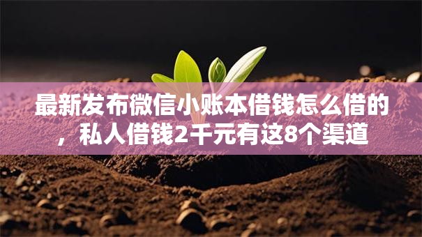 最新发布微信小账本借钱怎么借的，私人借钱2千元有这8个渠道