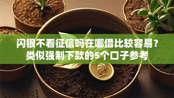 闪银不看征信吗在哪借比较容易？类似强制下款的5个口子参考