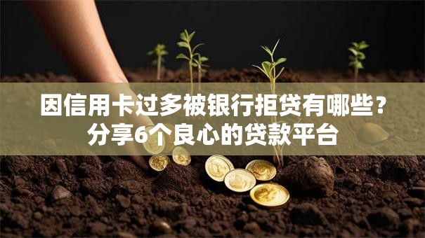 因信用卡过多被银行拒贷有哪些？分享6个良心的贷款平台
