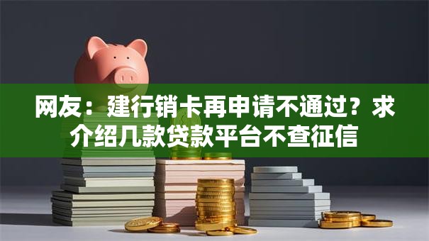 网友：建行销卡再申请不通过？求介绍几款贷款平台不查征信