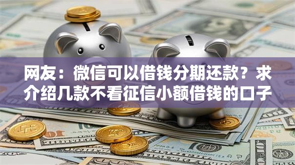 网友：微信可以借钱分期还款？求介绍几款不看征信小额借钱的口子