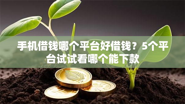 手机借钱哪个平台好借钱？5个平台试试看哪个能下款