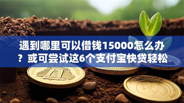遇到哪里可以借钱15000怎么办？或可尝试这6个支付宝快贷轻松借口子