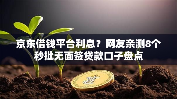 京东借钱平台利息?网友亲测8个秒批无面签贷款口子盘点 京东借钱平台利息?网友亲测8个秒批无面签贷款口子盘点