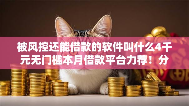被风控还能借款的软件叫什么4千元无门槛本月借款平台力荐！分享小额网贷口子4千元无门槛借款