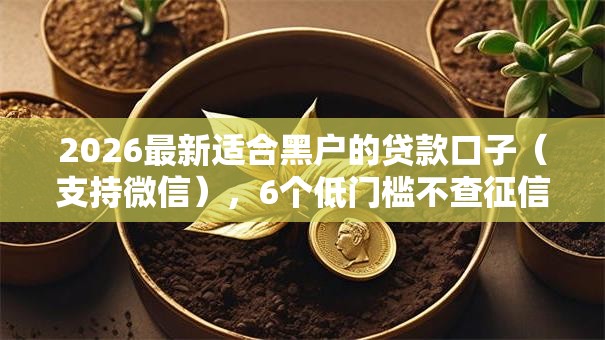 2026最新适合黑户的贷款口子（支持微信），6个低门槛不查征信的口子无私分享