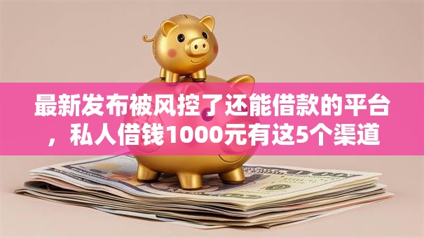 最新发布被风控了还能借款的平台，私人借钱1000元有这5个渠道