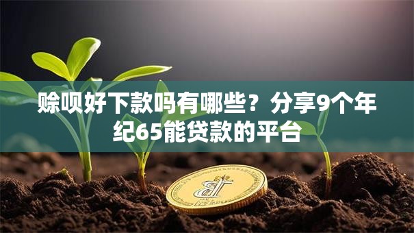 赊呗好下款吗有哪些？分享9个年纪65能贷款的平台