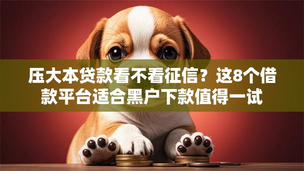 压大本贷款看不看征信？这8个借款平台适合黑户下款值得一试