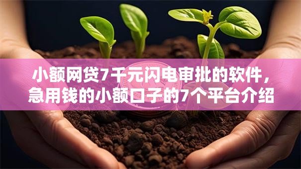 小额网贷7千元闪电审批的软件，急用钱的小额口子的7个平台介绍