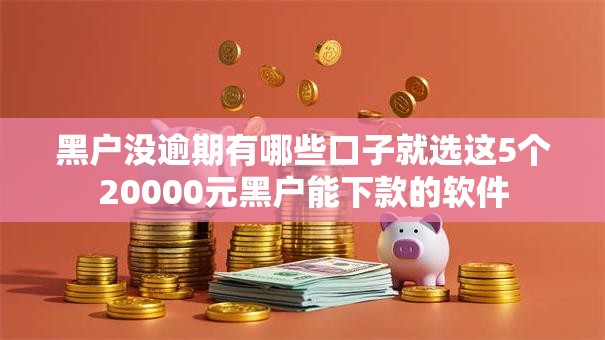 黑户没逾期有哪些口子就选这5个20000元黑户能下款的软件