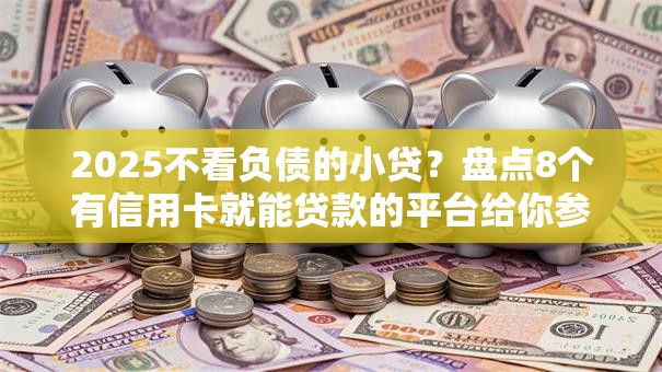 2025不看负债的小贷？盘点8个有信用卡就能贷款的平台给你参考