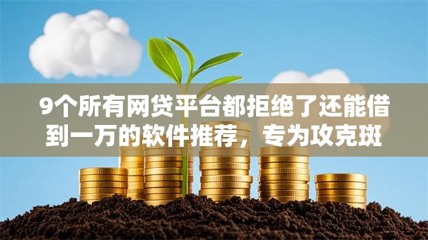 9个所有网贷平台都拒绝了还能借到一万的软件推荐，专为攻克斑马会员借钱难题