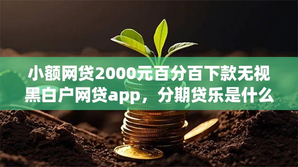 小额网贷2000元百分百下款无视黑白户网贷app，分期贷乐是什么的8个平台介绍