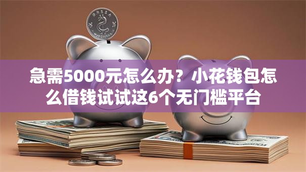 急需5000元怎么办?小花钱包怎么借钱试试这6个无门槛平台 急需5000元怎么办?小花钱包怎么借钱试试这6个无门槛平台