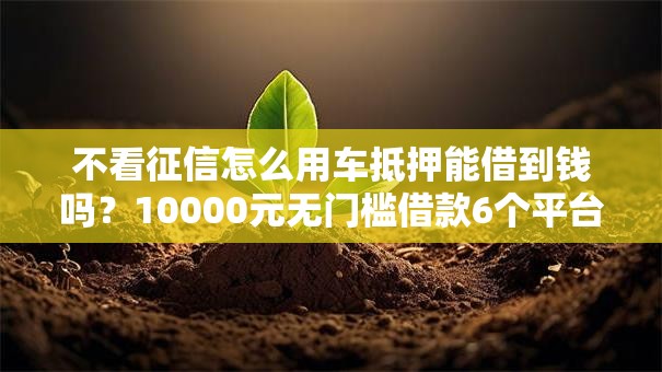 不看征信怎么用车抵押能借到钱吗？10000元无门槛借款6个平台推荐