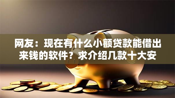 网友：现在有什么小额贷款能借出来钱的软件？求介绍几款十大安全借钱平台