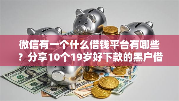 微信有一个什么借钱平台有哪些？分享10个19岁好下款的黑户借钱平台