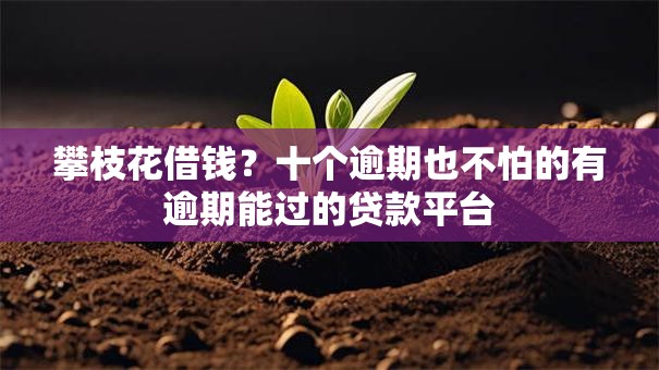 攀枝花借钱？十个逾期也不怕的有逾期能过的贷款平台