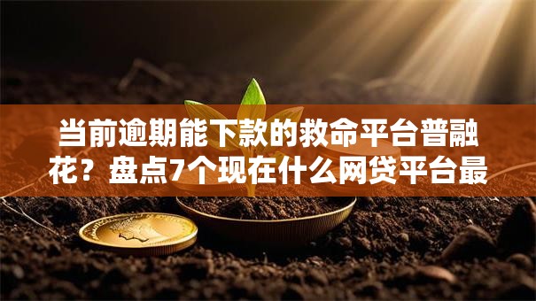 当前逾期能下款的救命平台普融花?盘点7个现在什么网贷平台最容易通过给你参考 当前逾期能下款的救命平台普融花?盘点7个现在什么网贷平台最容易通过给你参考
