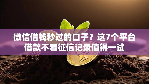 微信借钱秒过的口子?这7个平台借款不看征信记录值得一试 微信借钱秒过的口子?这7个平台借款不看征信记录值得一试