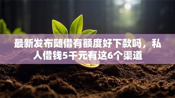 最新发布随借有额度好下款吗，私人借钱5千元有这6个渠道