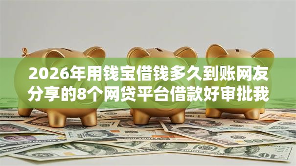 2026年用钱宝借钱多久到账网友分享的8个网贷平台借款好审批我觉得不错！