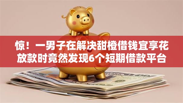 惊！一男子在解决甜橙借钱宜享花放款时竟然发现6个短期借款平台30天不看征信，事后分享了出来