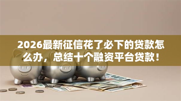 2026最新征信花了必下的贷款怎么办，总结十个融资平台贷款！