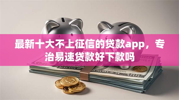 最新十大不上征信的贷款app，专治易速贷款好下款吗