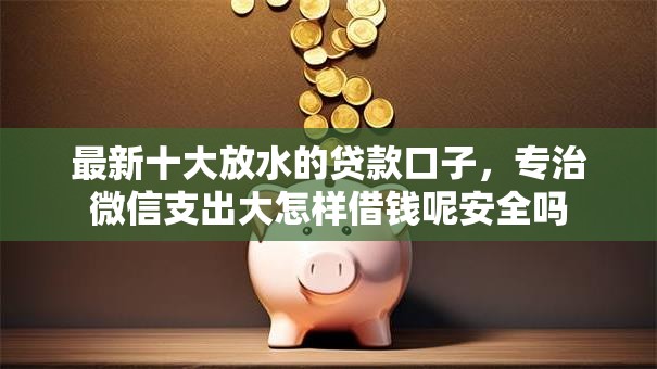 最新十大放水的贷款口子，专治微信支出大怎样借钱呢安全吗